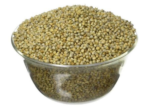 Bajra (Pearl Millet)