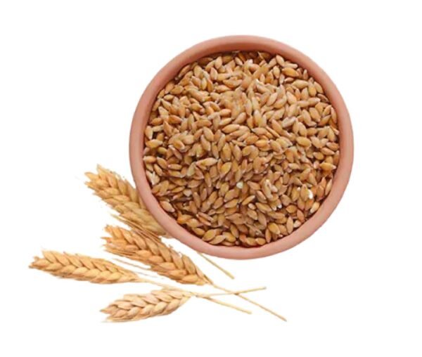 Wheat(Gahu)